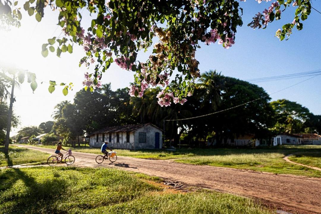 Pousada O Canto Do Frances Soure Exteriér fotografie